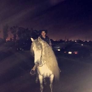 Meet your Posher, Marco